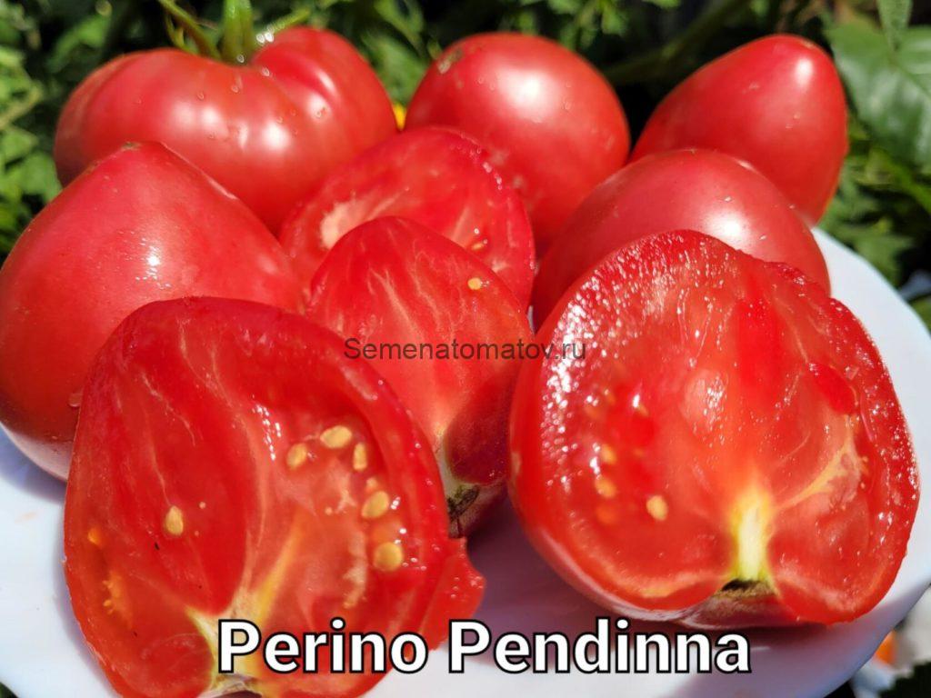 Perino Pendina 2 — Семена Томатов