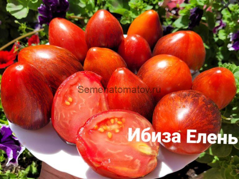 Ibiza Yelena \ Ибиза Елены — Семена Томатов
