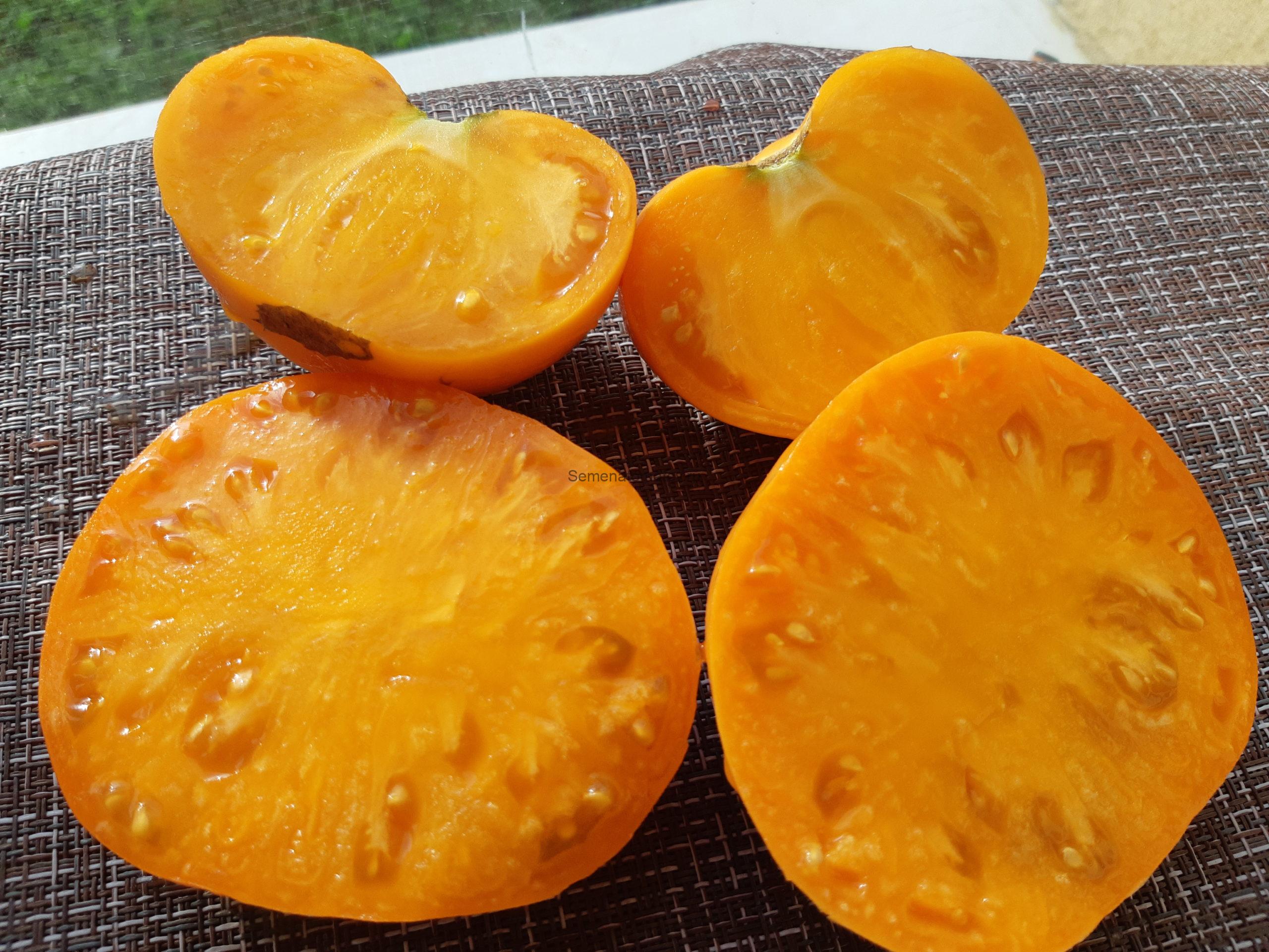 Чака желтый бифштекс (Chuck’s Yellow Beefsteak) — изображение 2