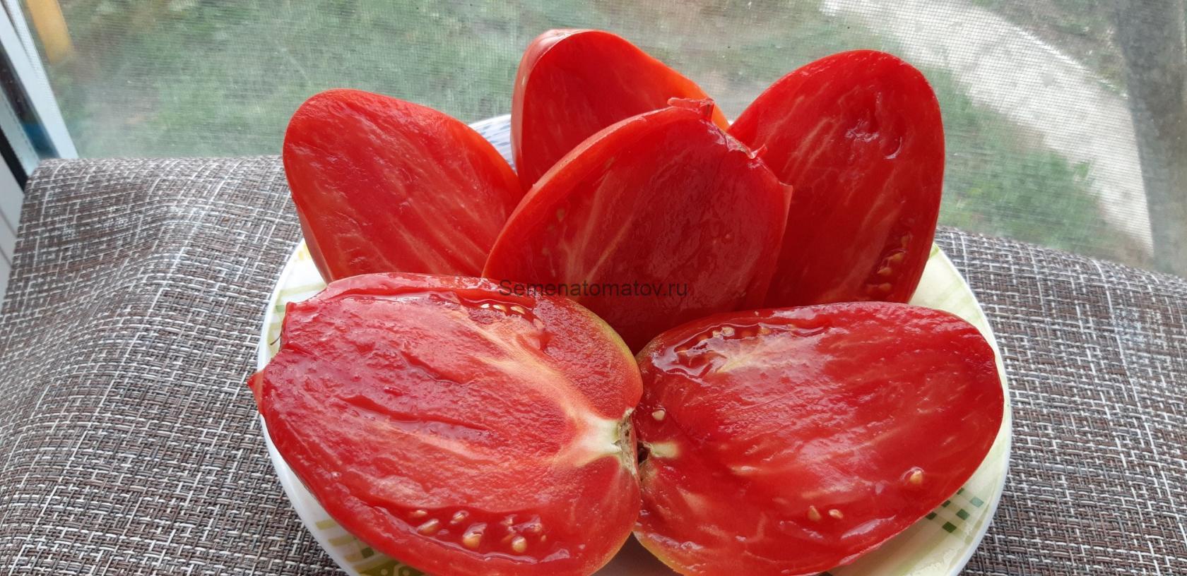 Kim's Civil War Oxheart ( (Бычье сердце Ким времен гражданской войны) — изображение 2