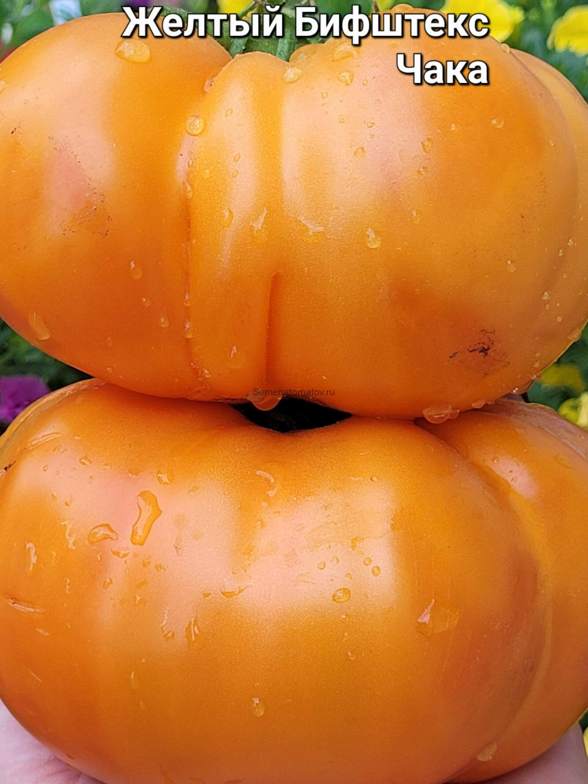 Чака желтый бифштекс (Chuck’s Yellow Beefsteak)