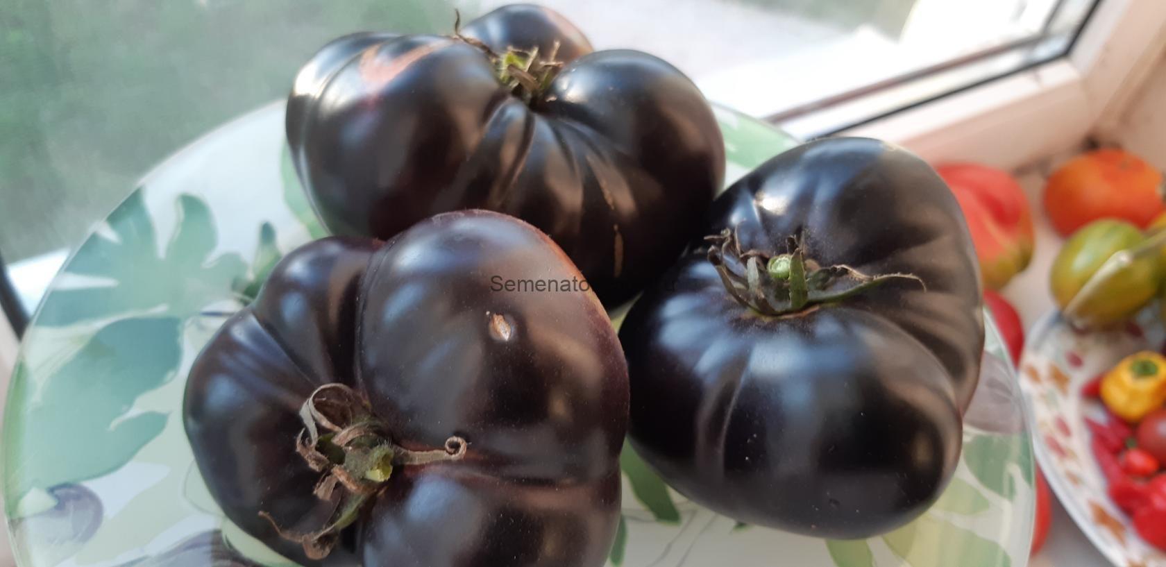 Black Beauty (Черная красота)