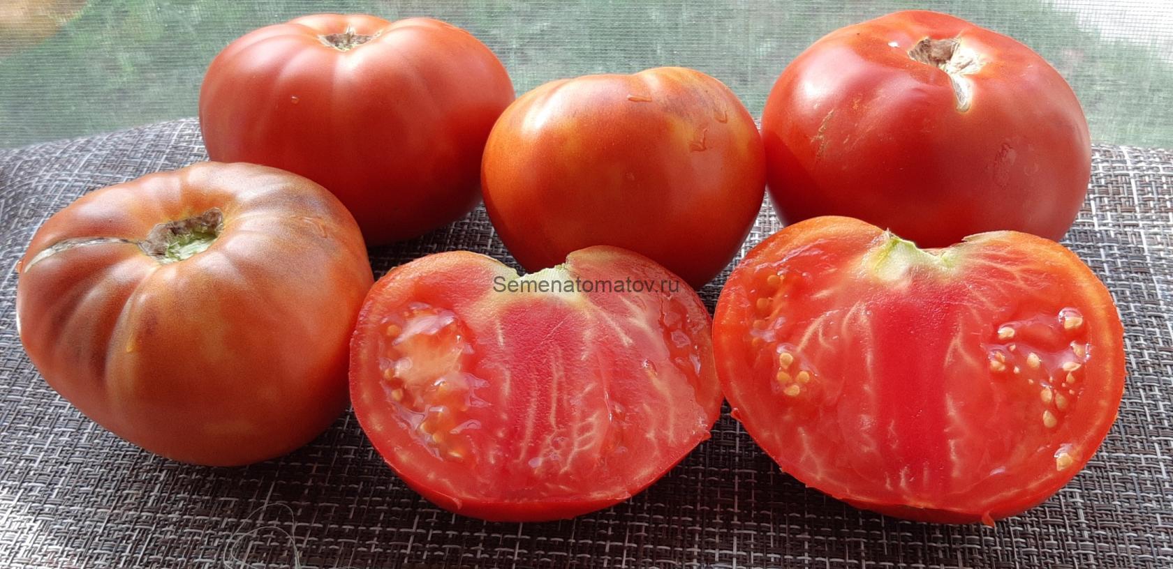 Гора грома красная (Thunder Mountain red)