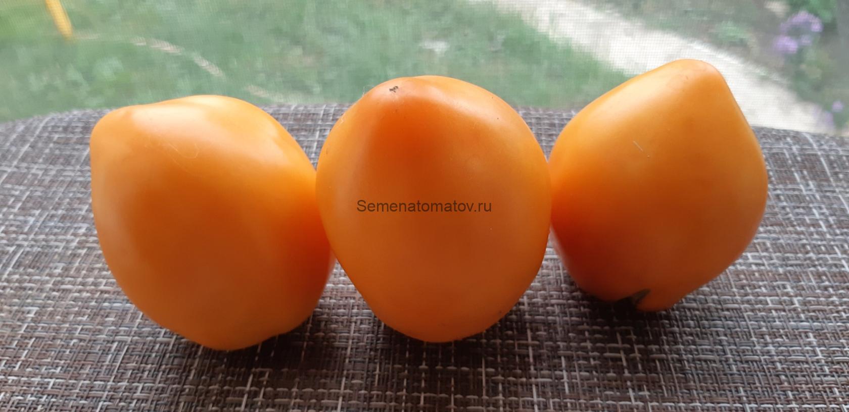 Ромовая Баба