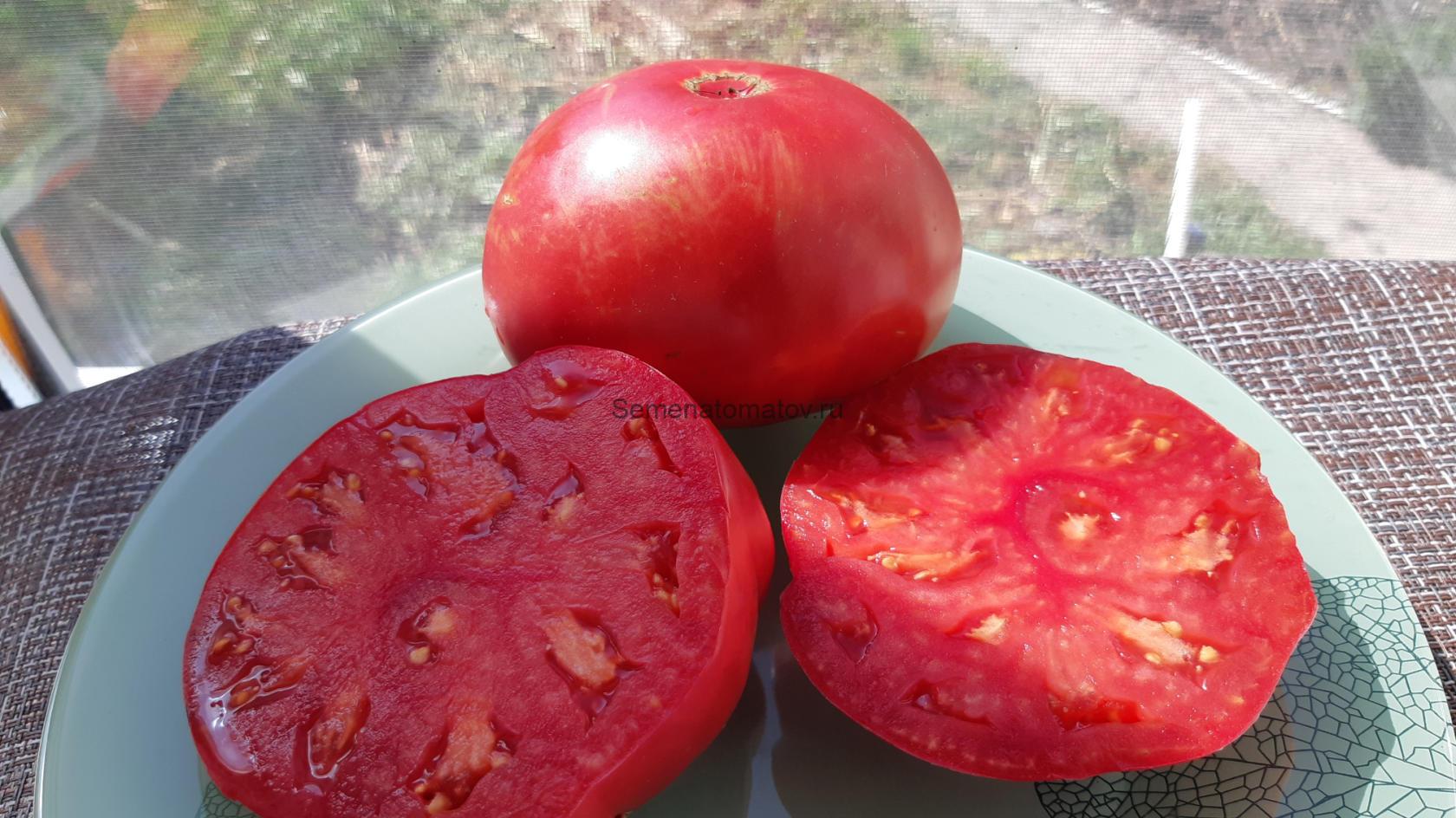 Abe Hall (Эйб Холл)