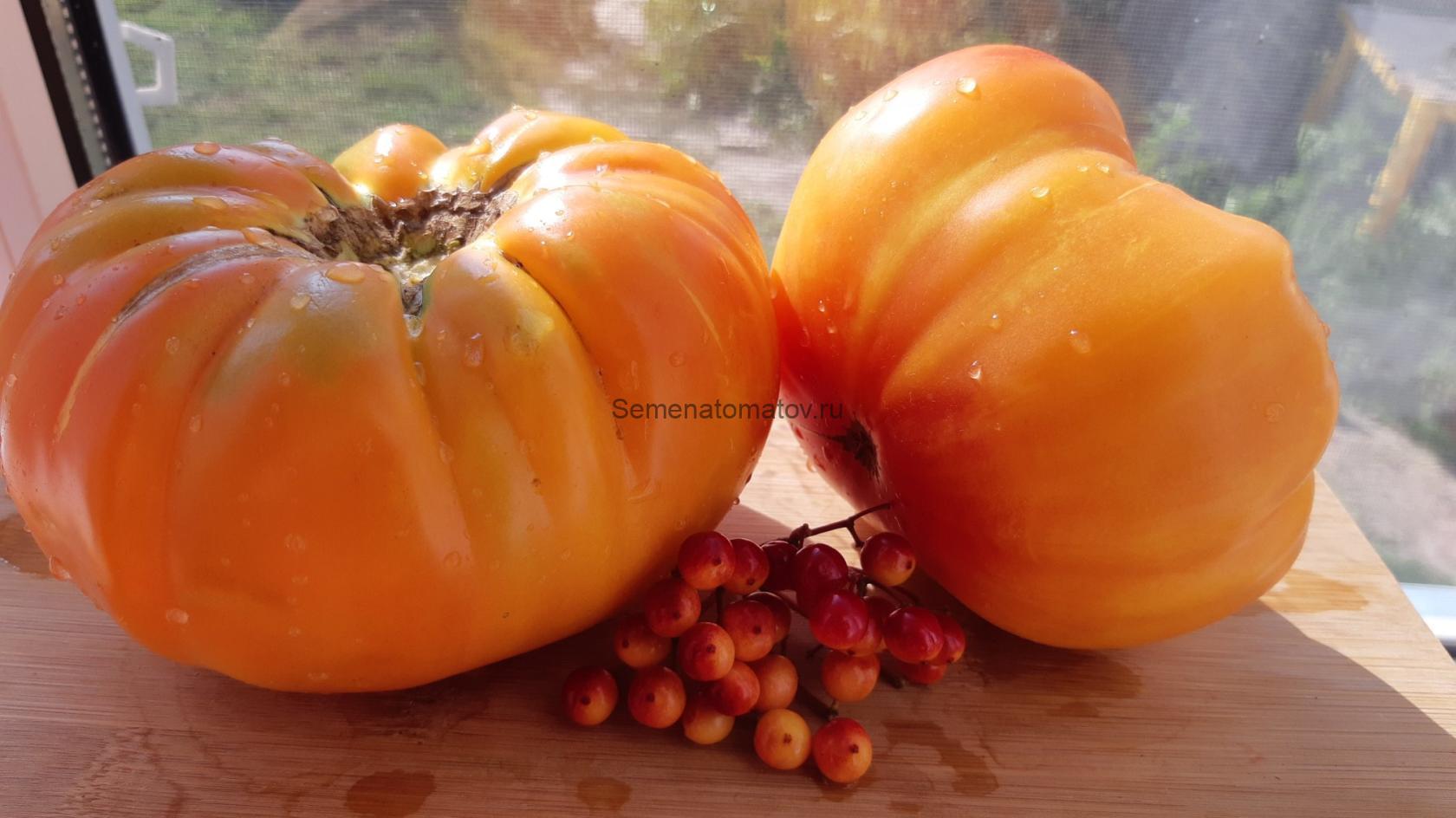 Southern pride Южная Гордость