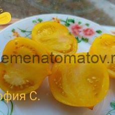 Téton de Wepion Соска Вепиона — изображение 2