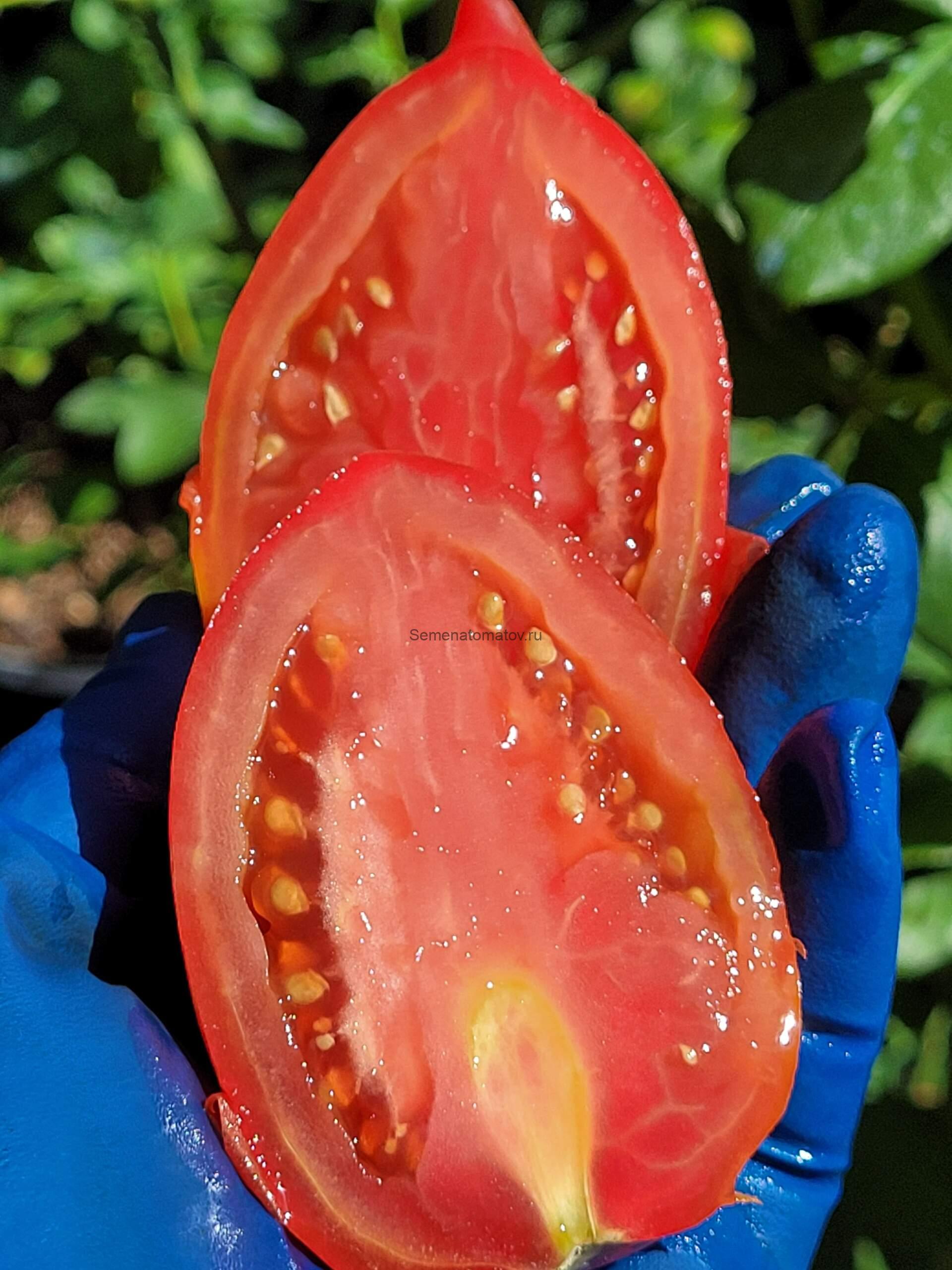 Воловьи уши с носиком — изображение 3