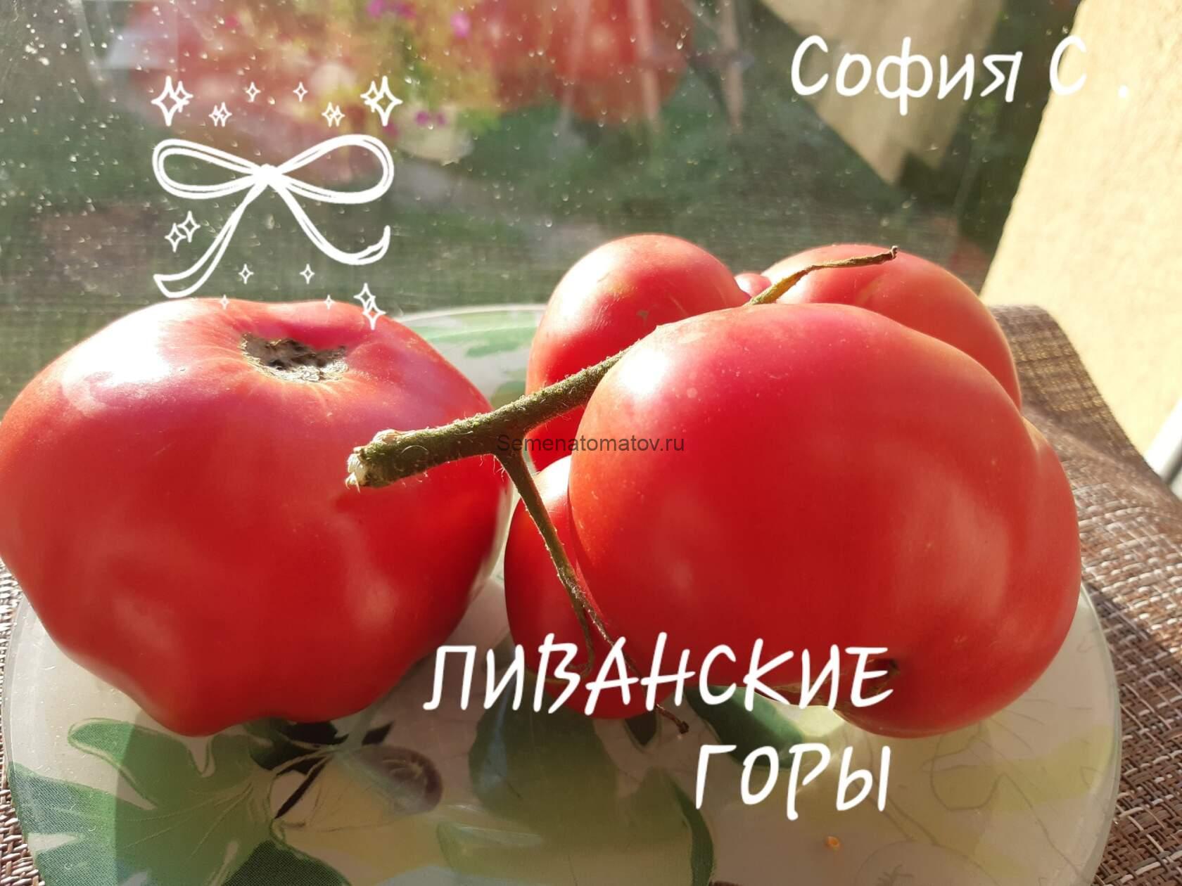 Выращивание
