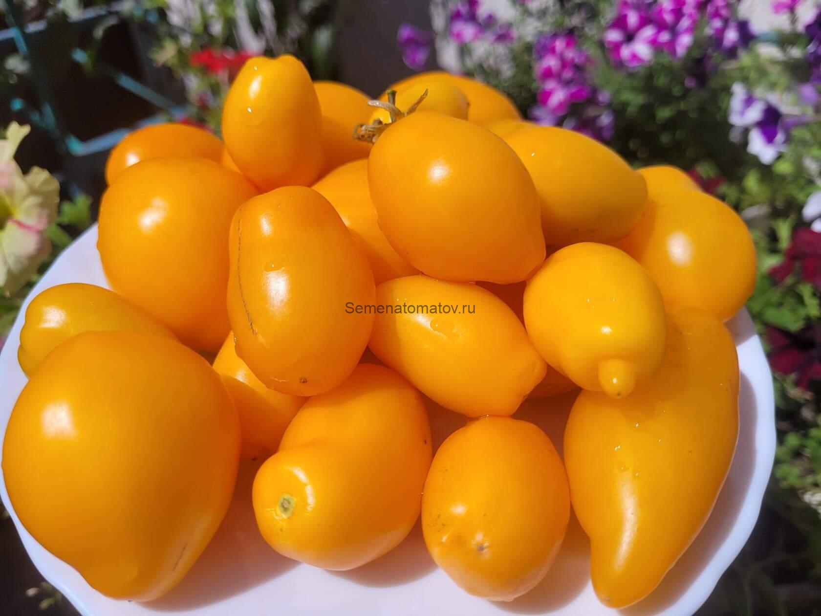 Banana Toes Tomato Банановые Пальцы