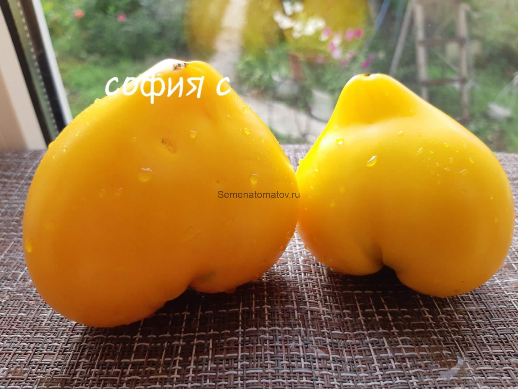 Желтые Гребешки