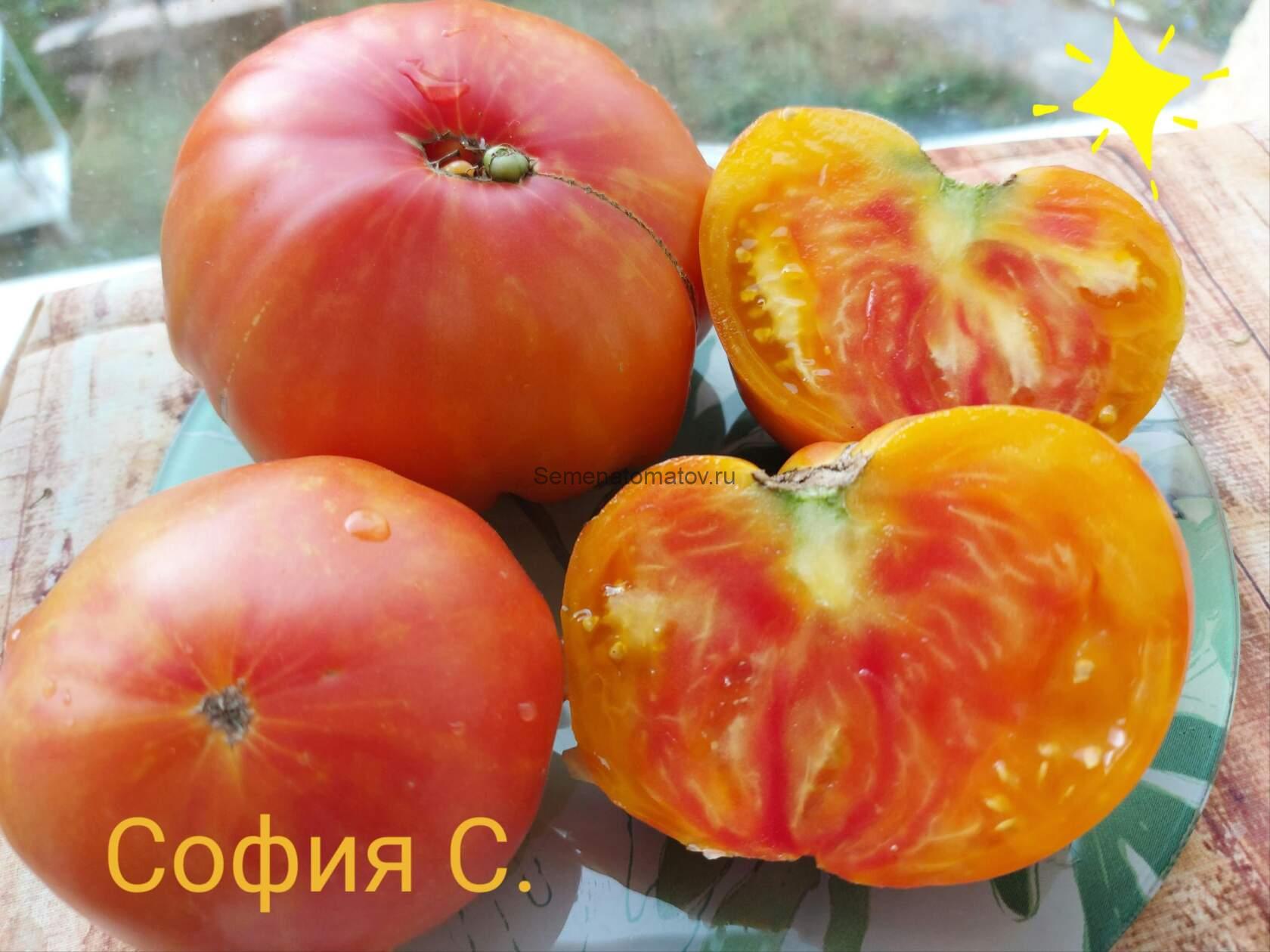 Mortgage Lifter Yellow