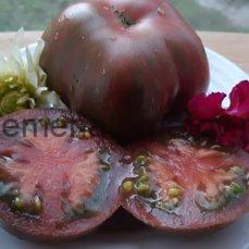 Dwarf Crimson Sockeye