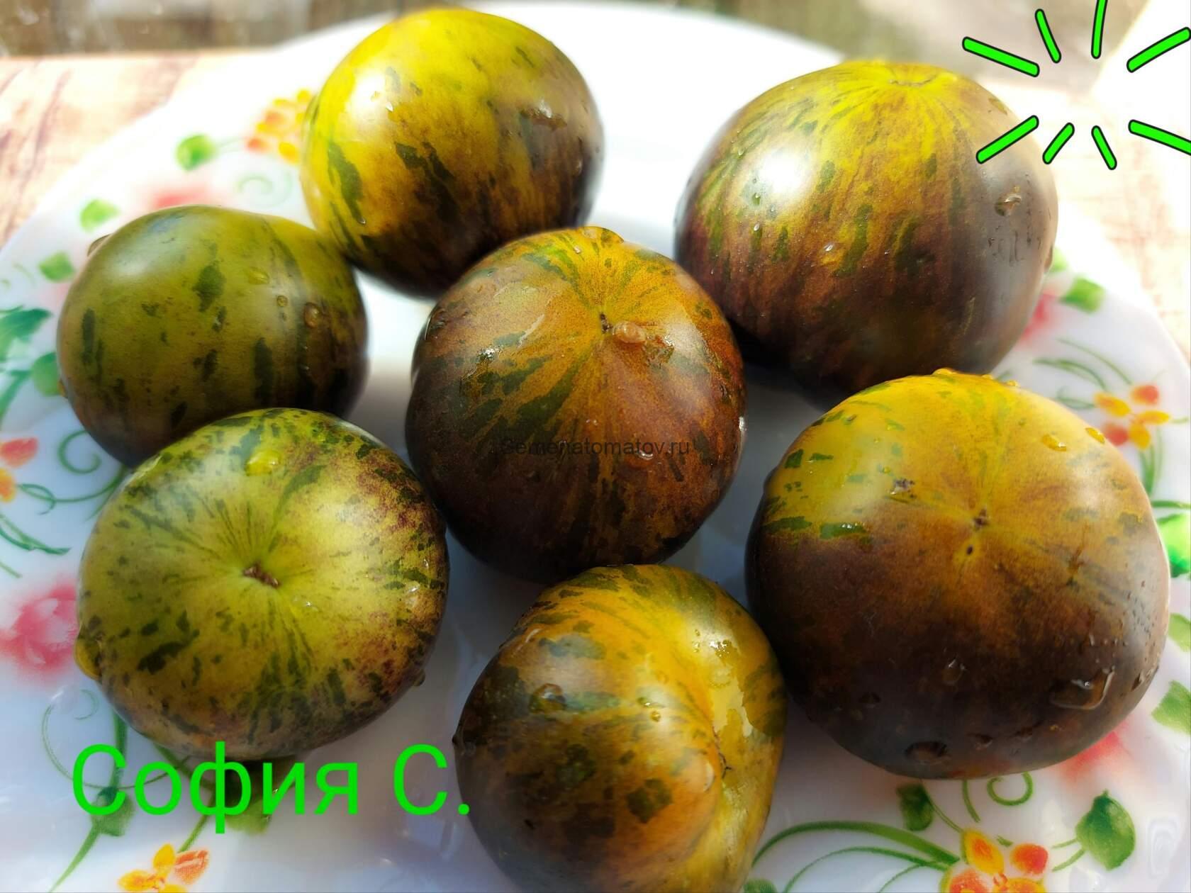 KRYPTONITE Криптонит — изображение 2