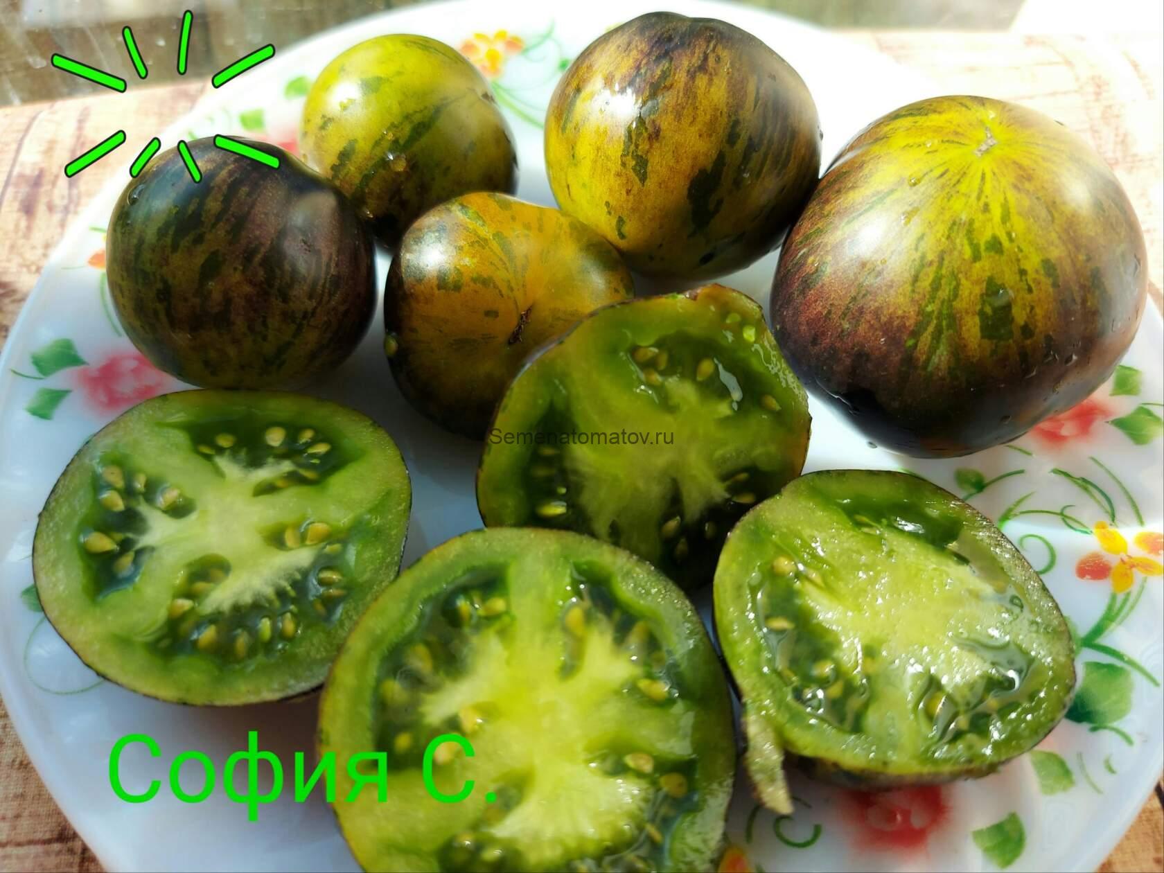 KRYPTONITE Криптонит