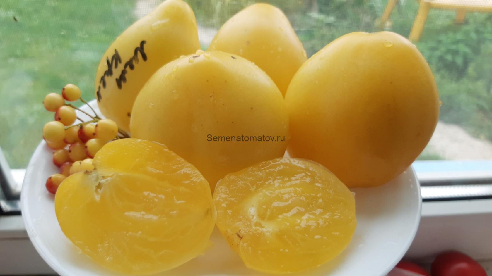 Лимонный лед (крем,мороженое )(Dwarf Lemon Ice)