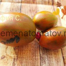 Dwarf Audrey's Love Tomato Гном Любовь Одри
