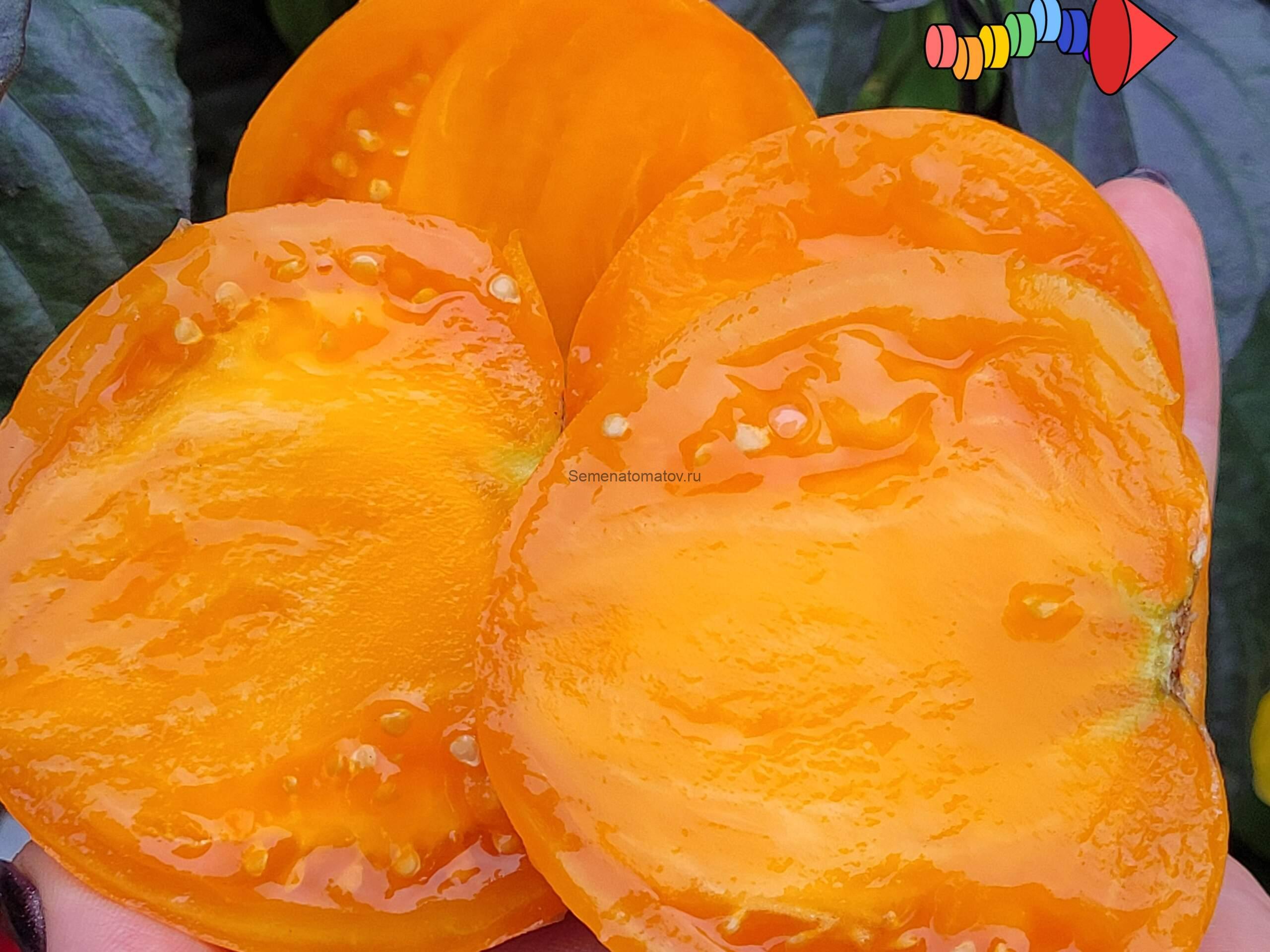 Оранжевый монстр Флэтхед ( Flathead Monster Orange) — изображение 2