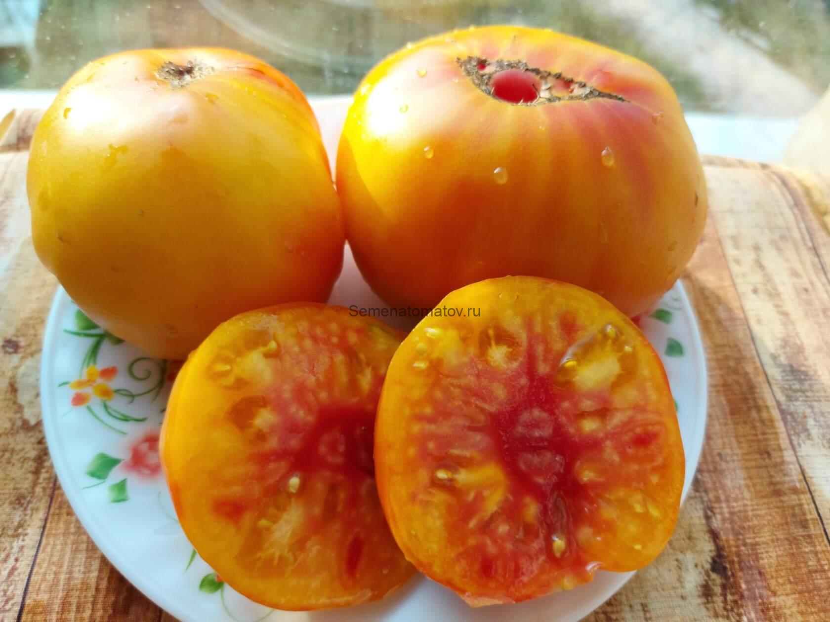 Немецкий полосатый (Stripped German)