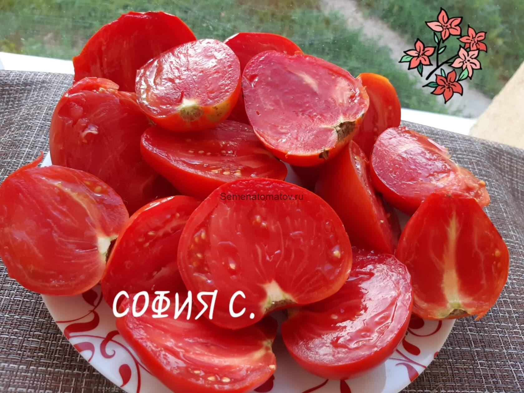 Сердце Хибы Imini de Hiba — изображение 2