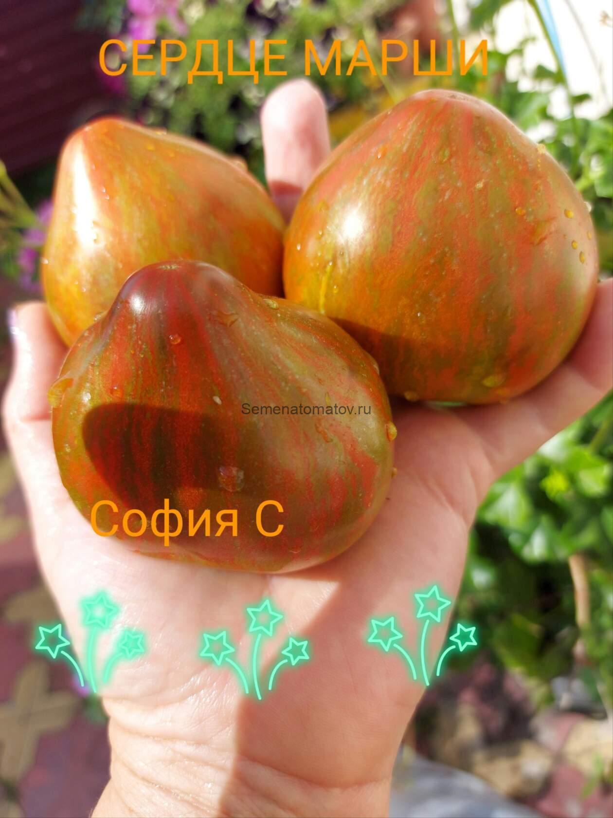 Marsha's Starfighter Heart (Сердце Марши )