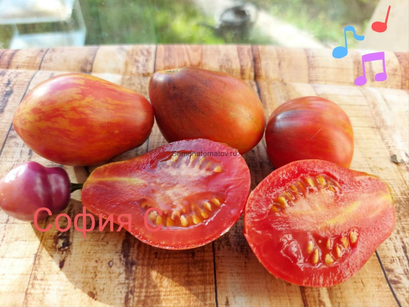 Your smile Твоя Улыбка.