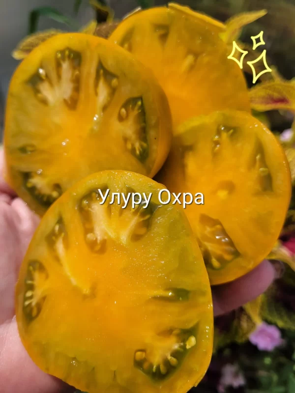 Uluru Ochre,Улуру Охра. — изображение 3