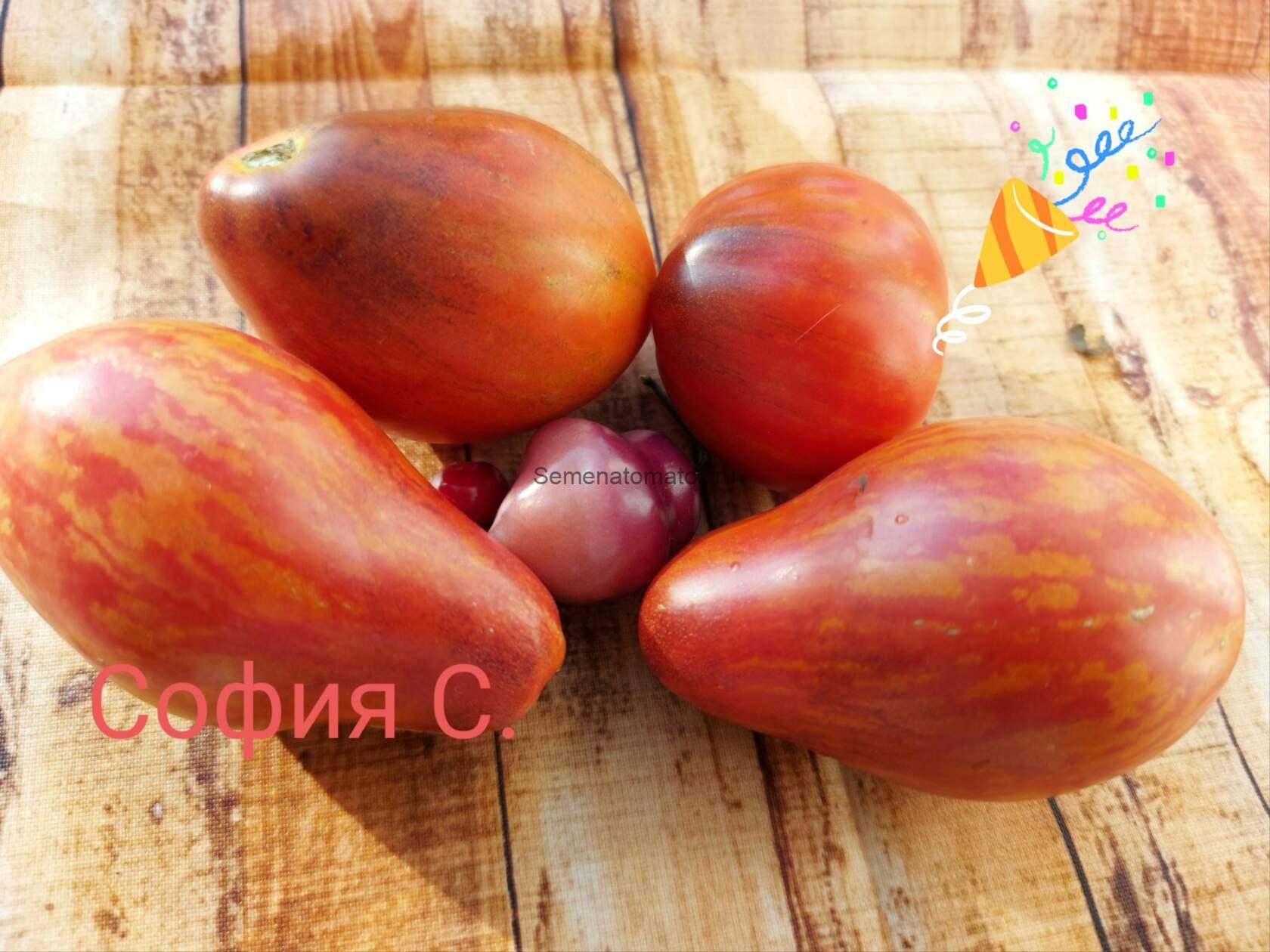 Your smile Твоя Улыбка. — изображение 2