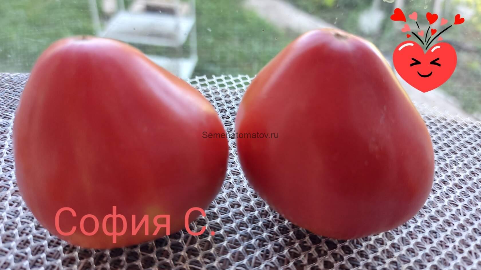 Huevo Toro Del Rio Guadarrama Яйцо быка с реки Гуадарpама