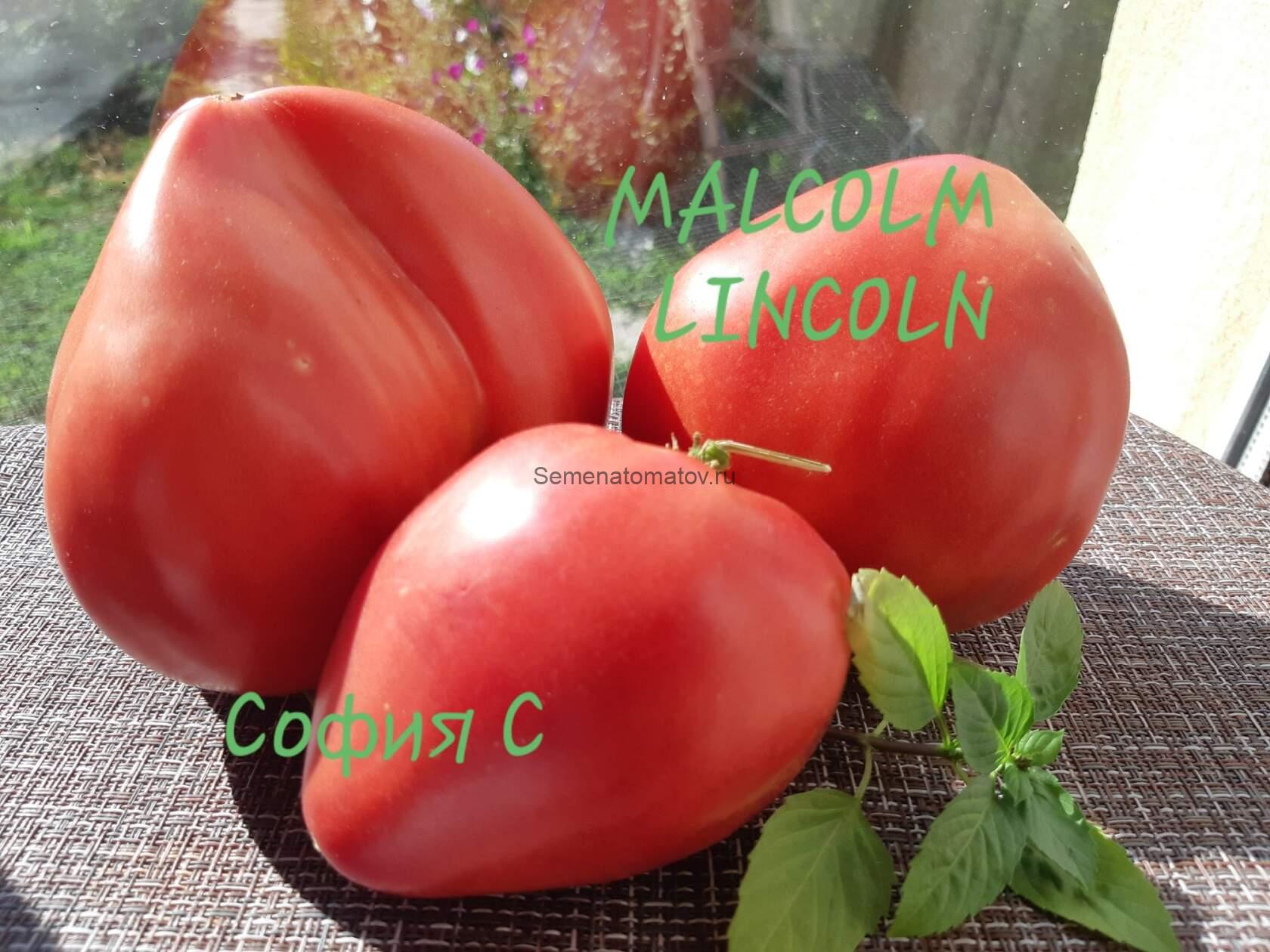 Malcolm Lincoln ( Малколм Линкольн).