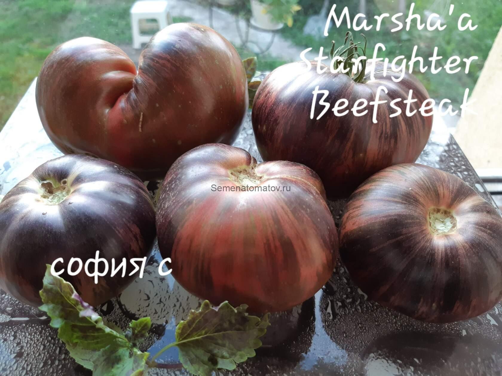 Marsha's Starfighter Beefsteak Бифштекс Марши — изображение 2