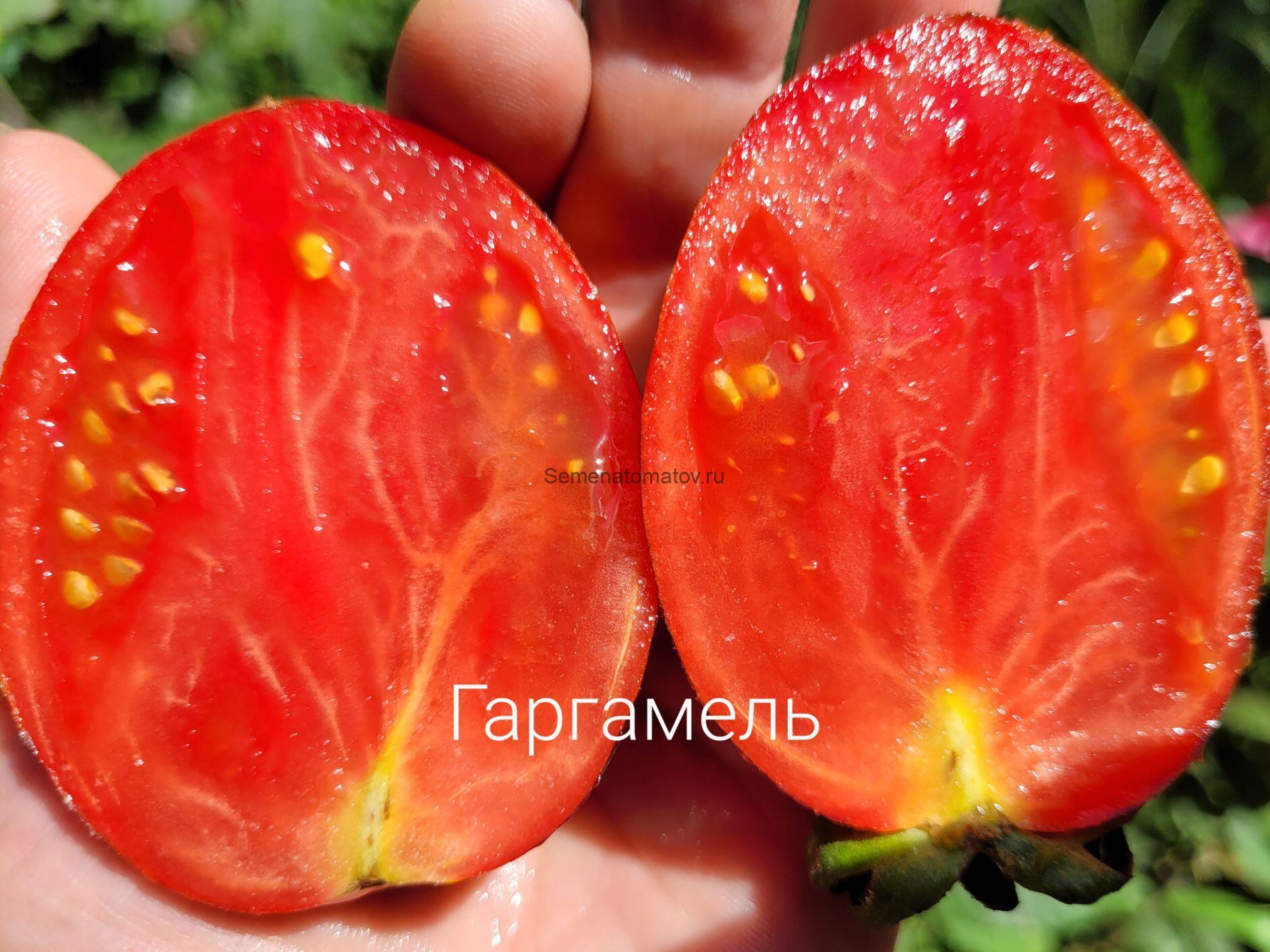 Гаргамель Gargamel. — изображение 2