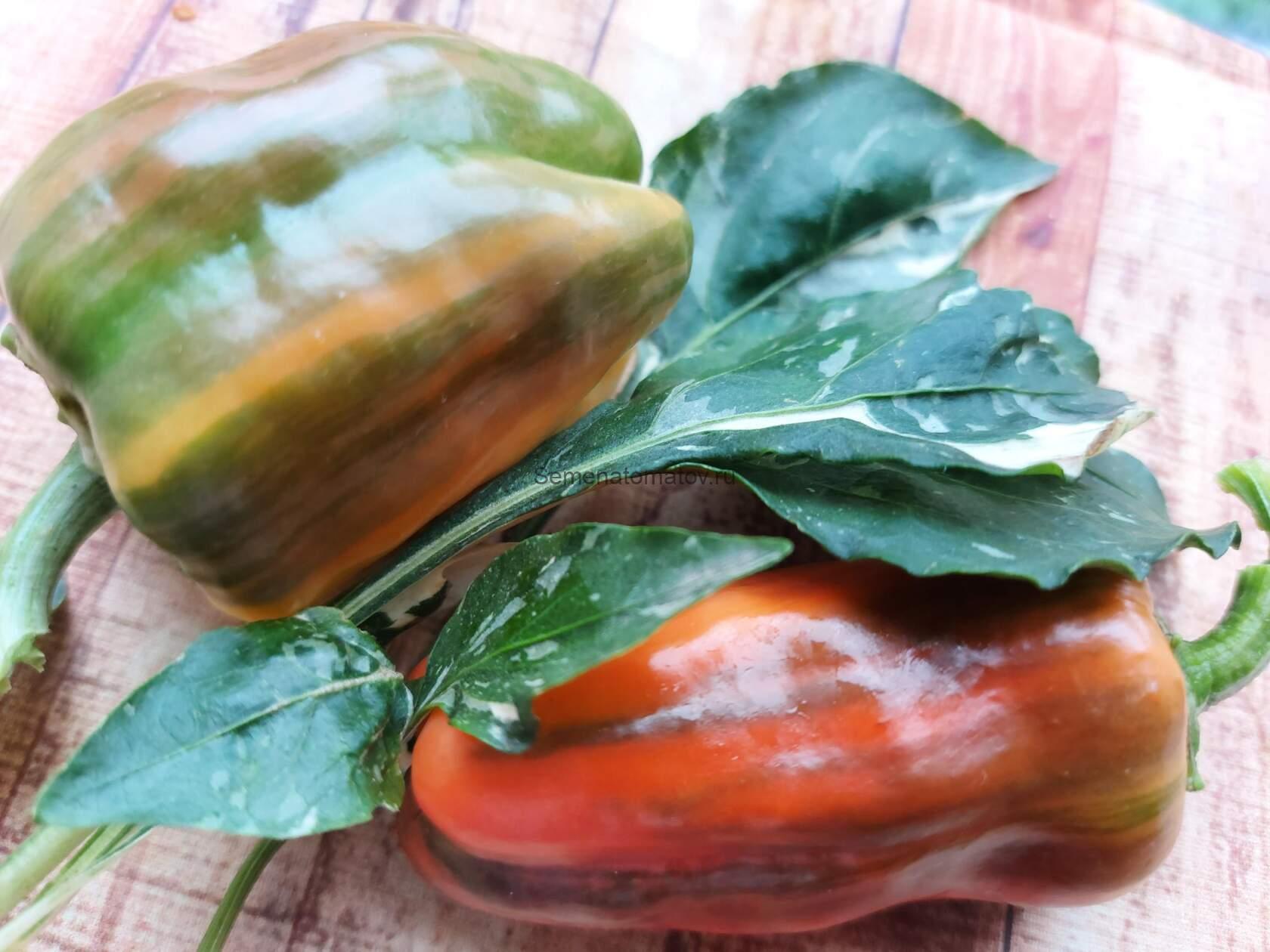 Candy Cane Конфета (Леденец)