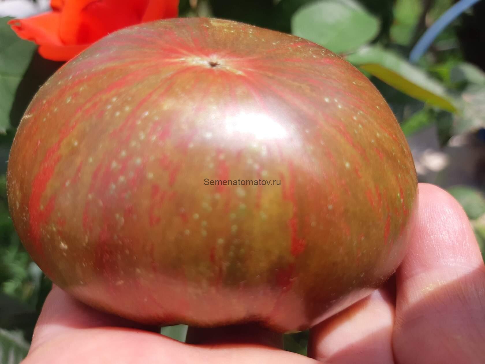 Blood Moon Кровавая Луна