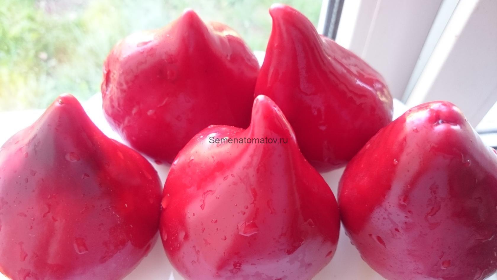 Леся — изображение 2