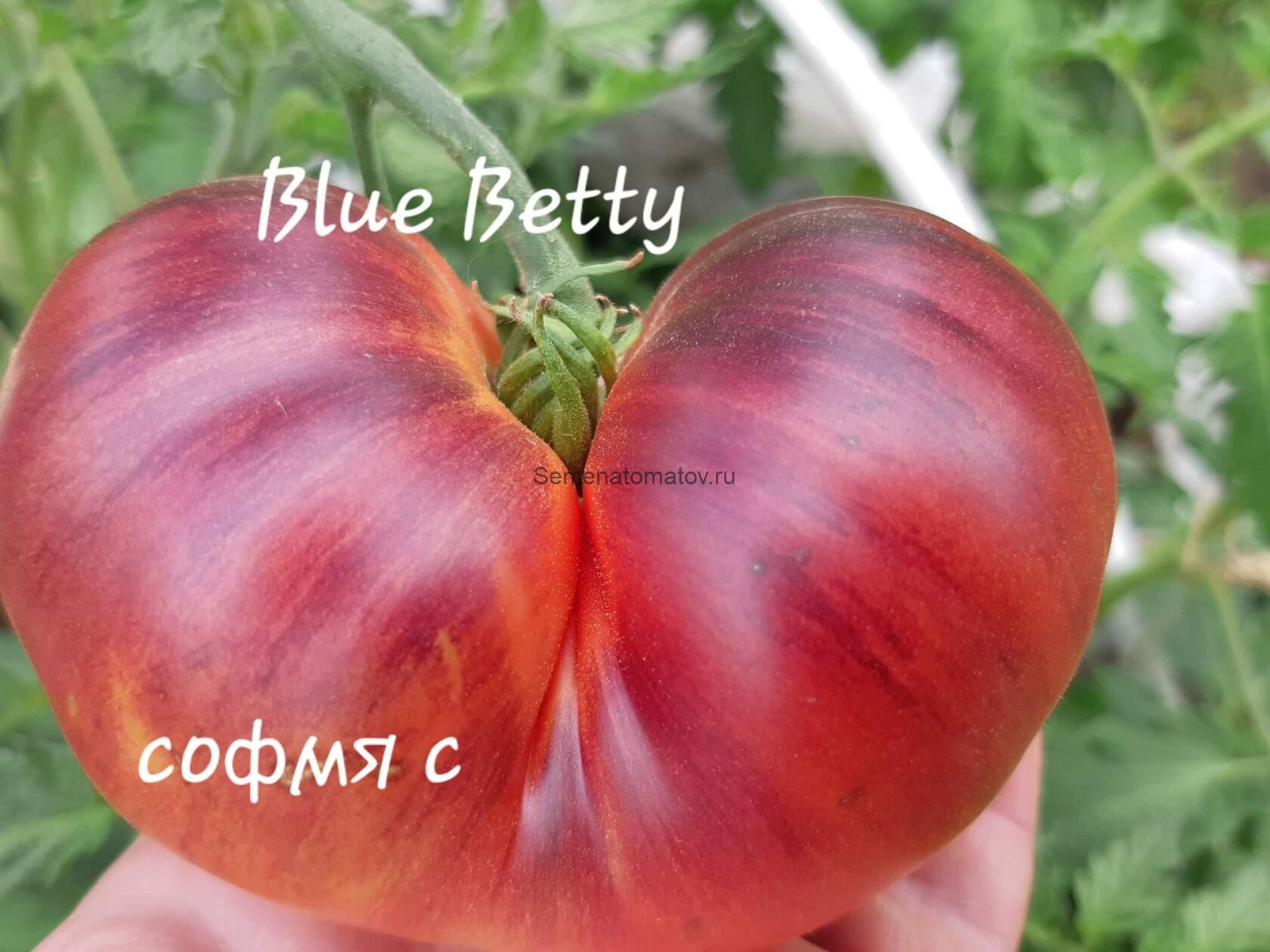 Blue BETTY Синяя Бетти