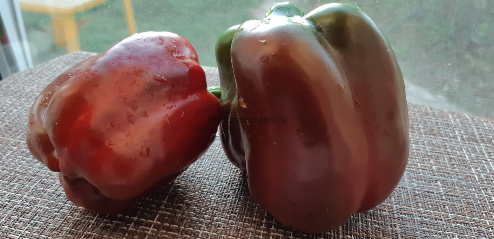 Шоколадный Кубок