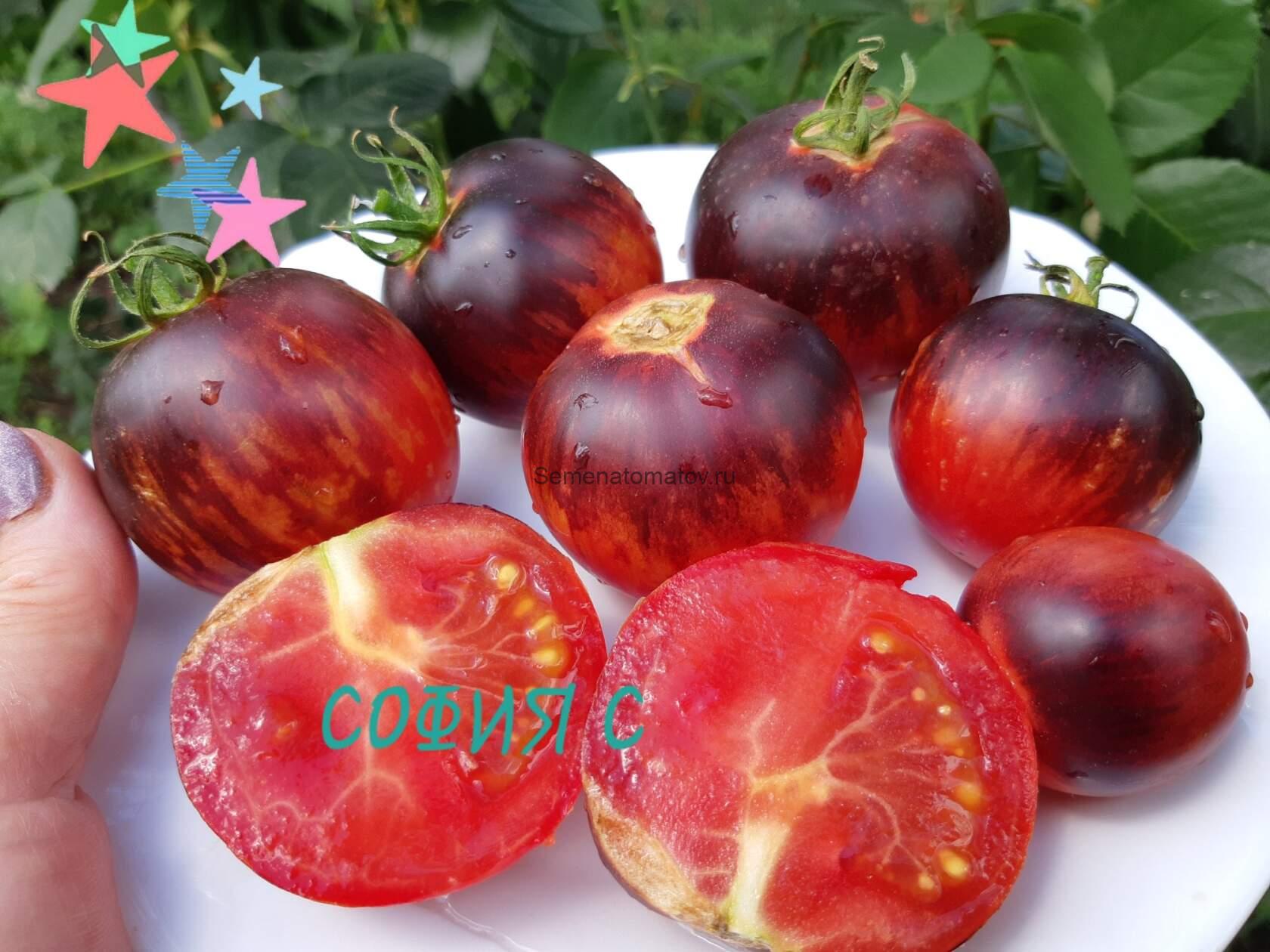 Золотое яблоко из Сан де Де Борегарда ( Pommed’or De Saint Jean De Beauregard,)