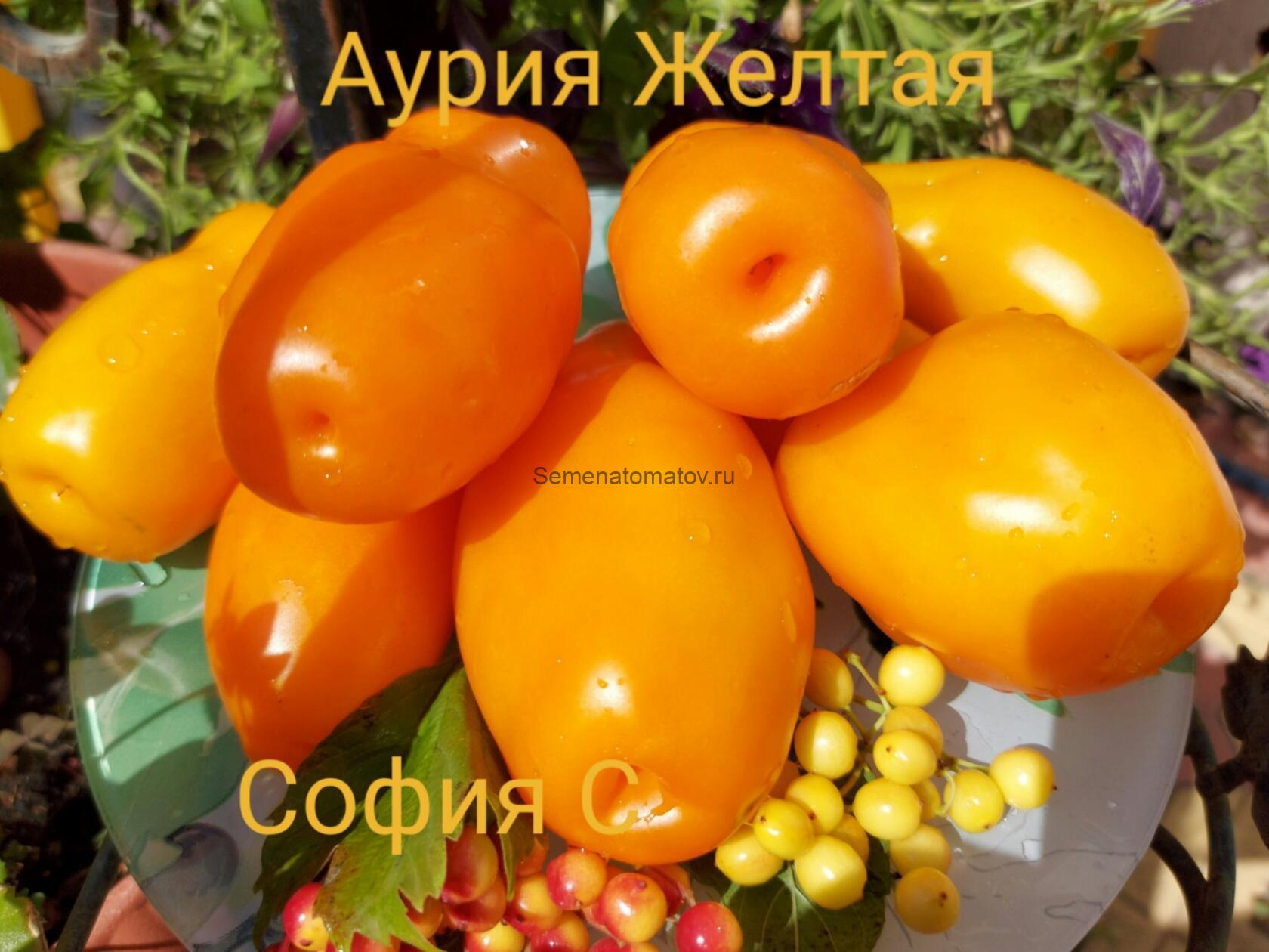 Аурия Желтая