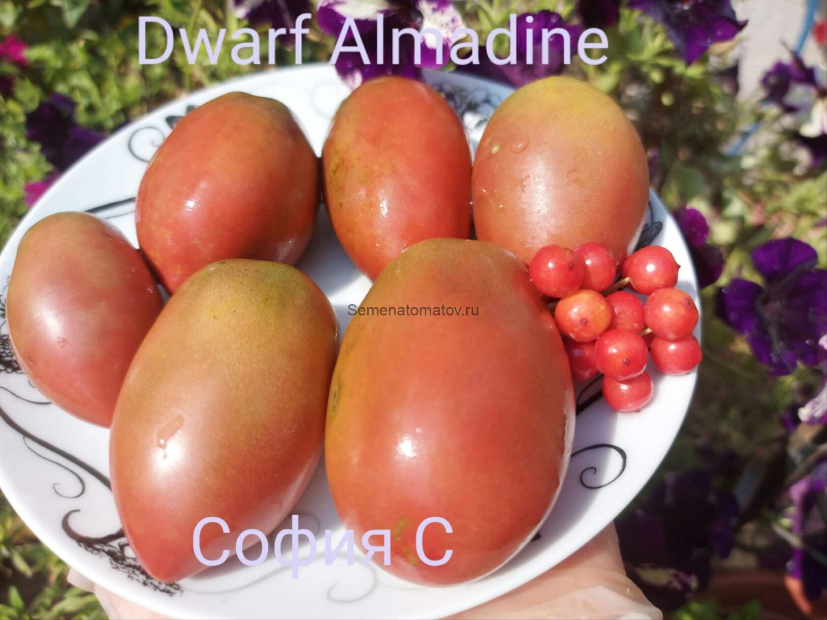 Dwarf Almandine Карлик Альмандин