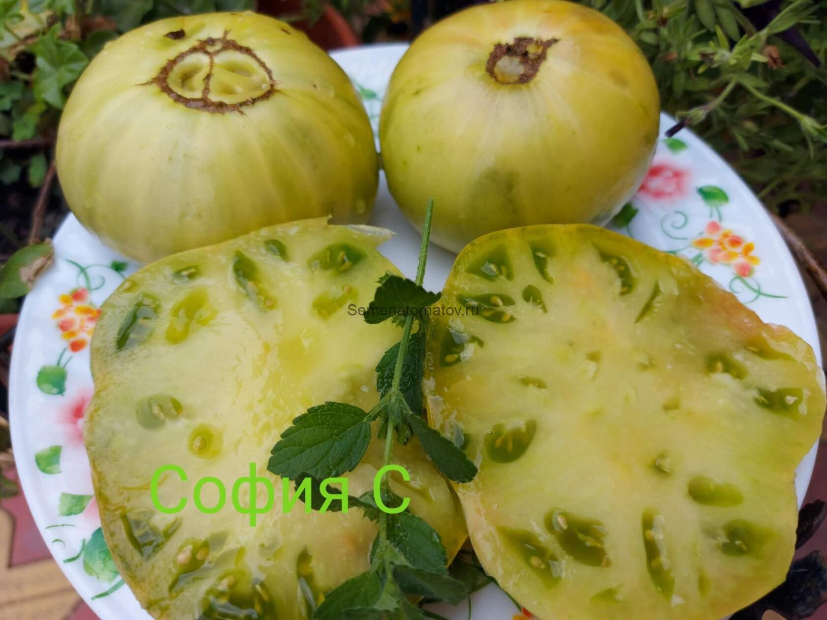 Dwarf Grinch Карлик Гринч