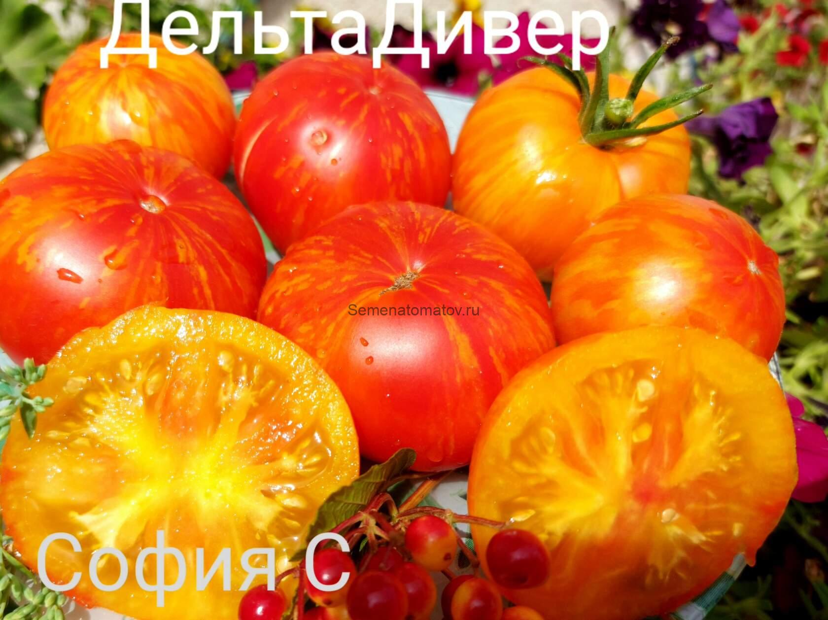 Delta Diver Дельта Дайвер