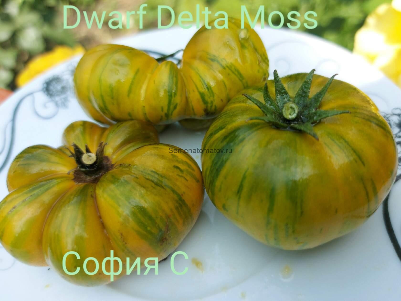 Delta Moss Дельта Моховая