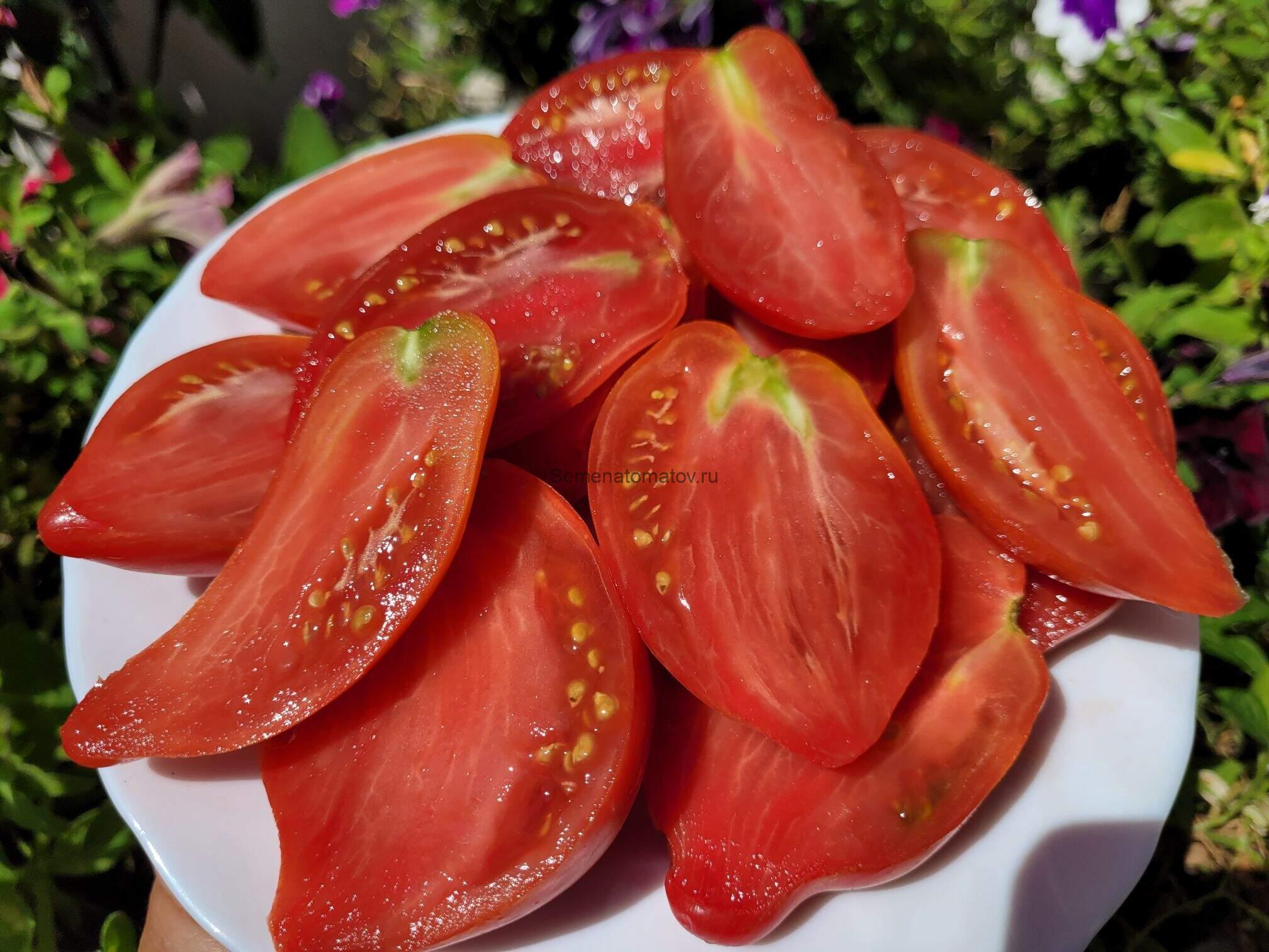 Lady Madonna Леди Мадонна — изображение 2