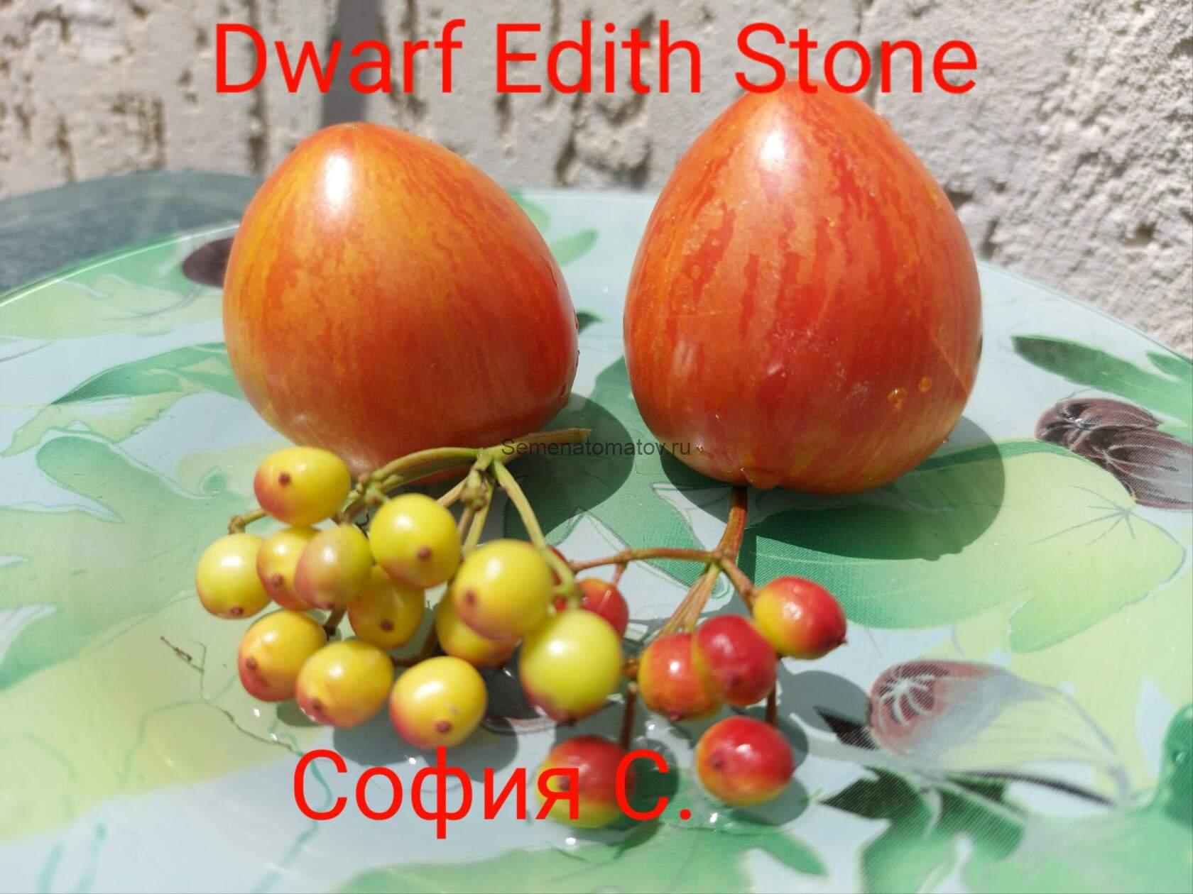 Dwarf Edith Stone Карлик Эдит Стоун