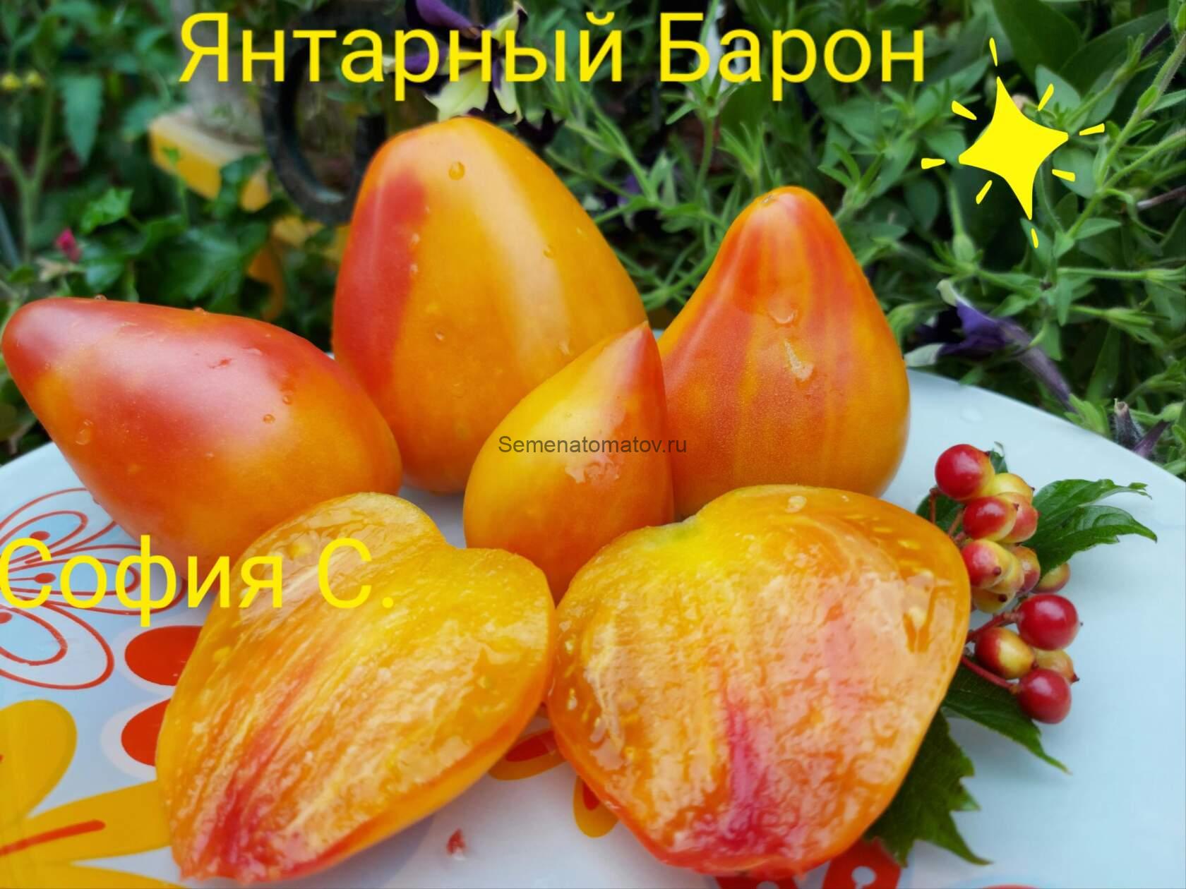 томат янтарный барон. томат янтарный барон характеристика и описание. томат янтарный толстячок семена. томат янтарный барон. томат янтарный барон характеристика и описание.