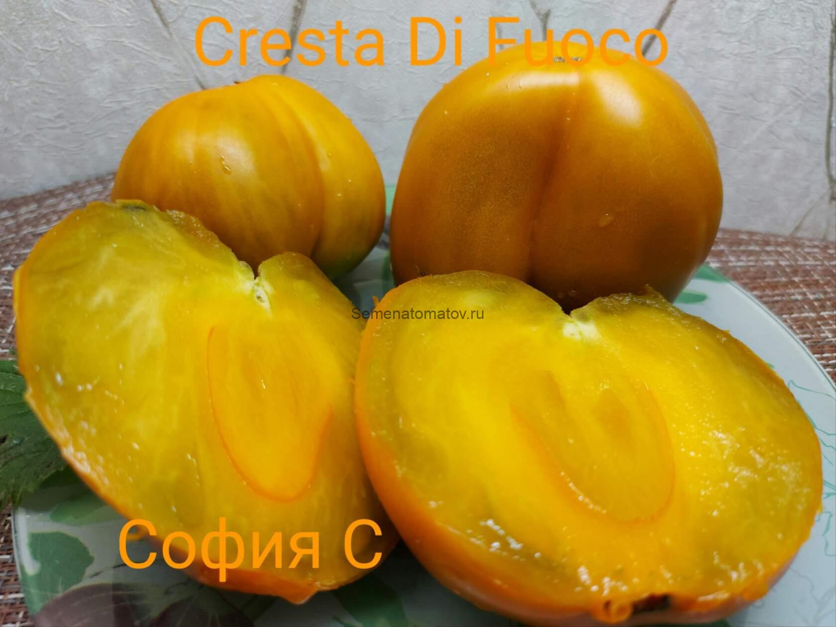 CRESTA DI FUOCO  ОГНЕННЫЙ ГРЕБЕНЬ