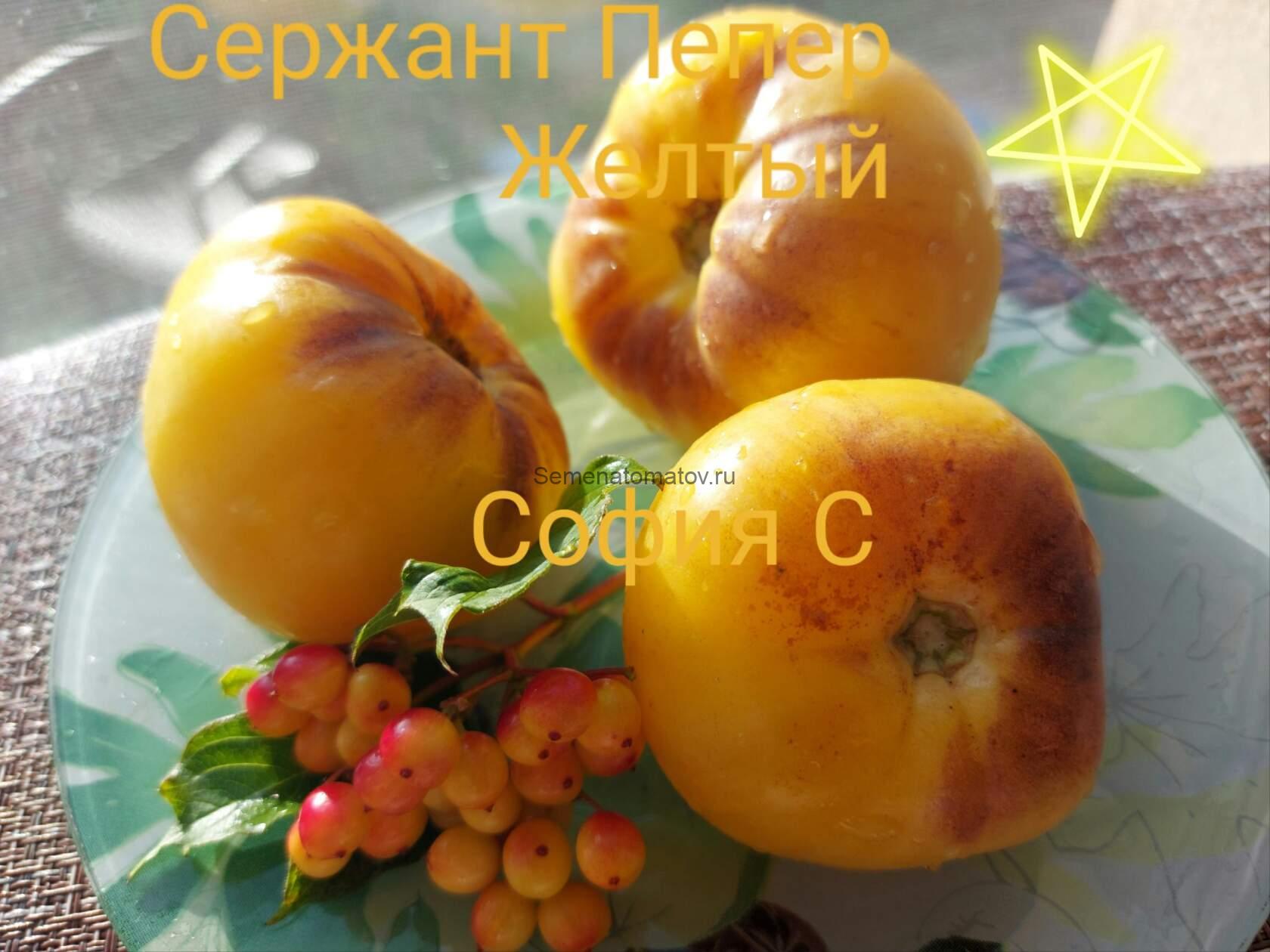Сержант Пеппер Желтый (Sgt. Pepper’s Yelow)