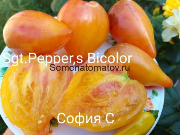 Сержант Пеппер Биколор /1(Sgt. Pepper’s Bicolor 1)