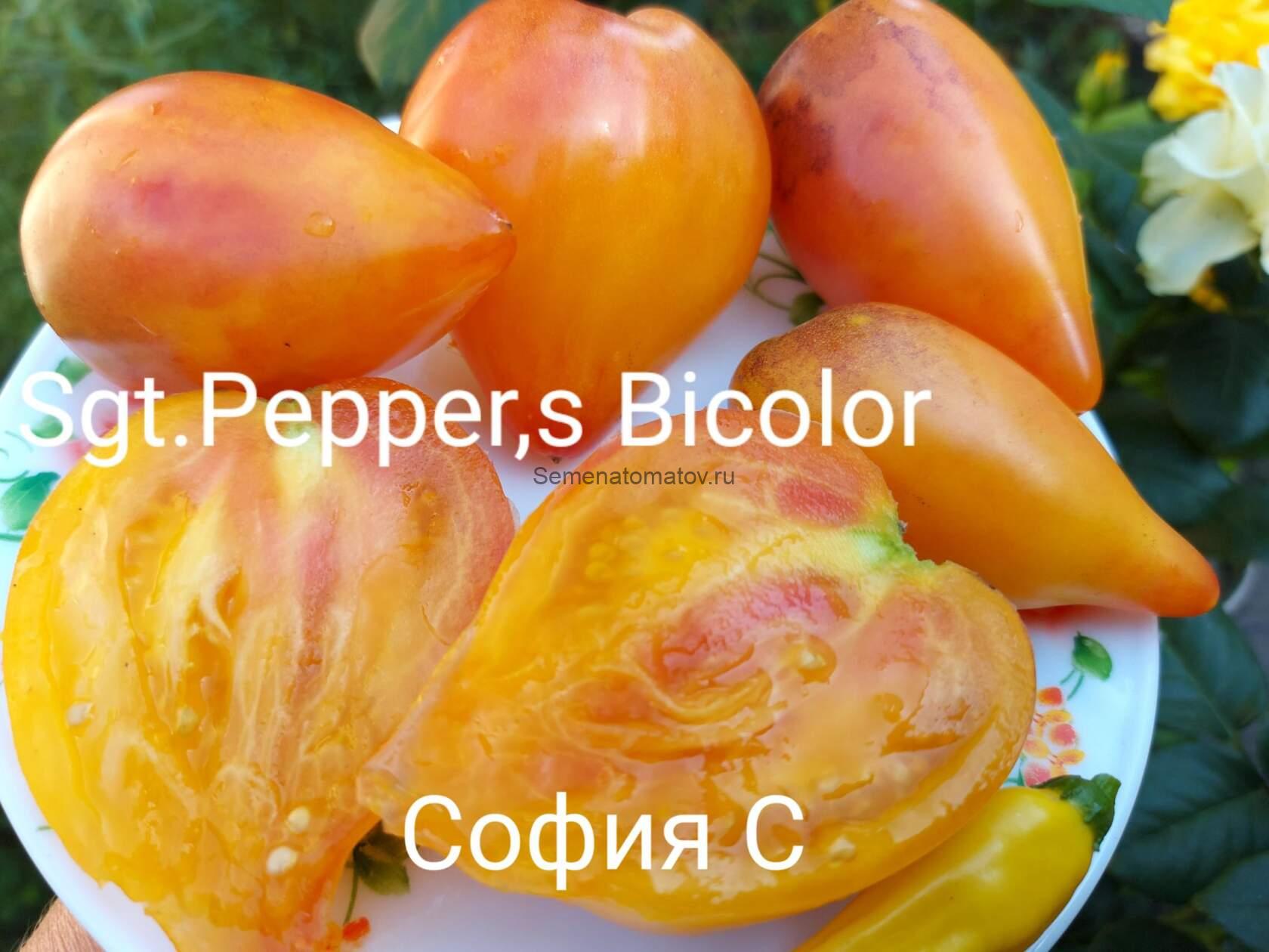 Сержант Пеппер Биколор /1(Sgt. Pepper’s Bicolor 1)